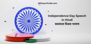 Read more about the article Excellent Independence Day Speech | स्वतंत्रता दिवस भाषण