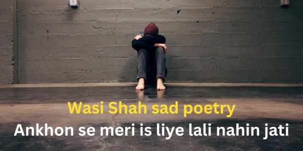 You are currently viewing Best Wasi Shah sad poetry: Ankhon se meri is liye lali nahin