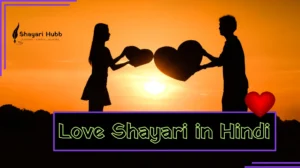 Love Shayari Hindi