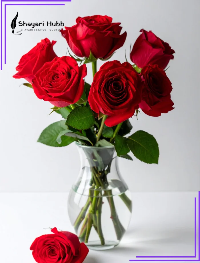 Best Love Shayari