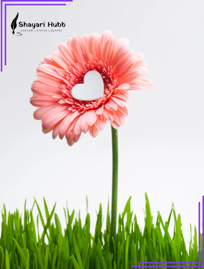 Emotional love shayari in English