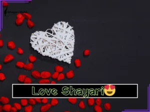 New Love Shayari