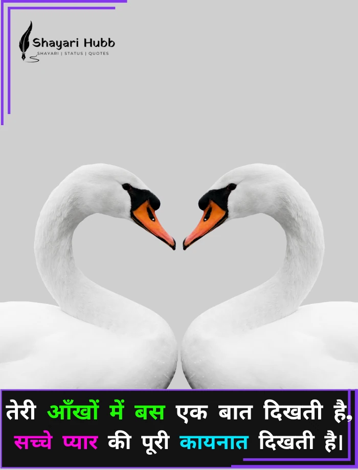 True Love Romantic Shayari