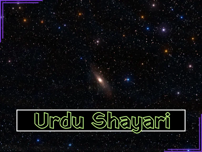 New Urdu Shayari