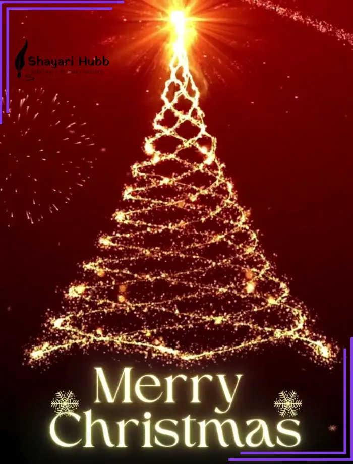 Christmas Greetings Shayari