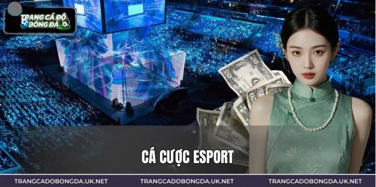 Esports Betting 2026: Complete Guide for Beginners